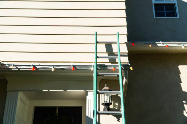 Best Fascia and Soffit Installation  in Flandreau, SD